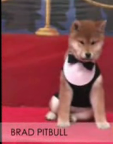 The 79th Annual Golden Bones Awards